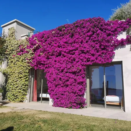Ventaou Villa *